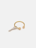 Horseshoe Keyring
